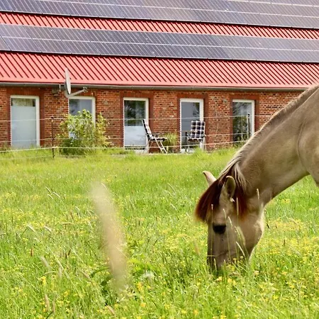 Neu! 4 Sterne Soemmertied * Esens