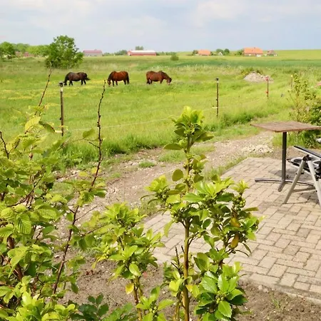 Neu! 4 Sterne Soemmertied * Neuharlingersiel